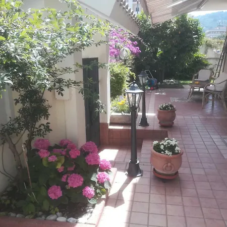 Il Cavalluccio Marino 住宿加早餐酒店 Montesilvano Marina