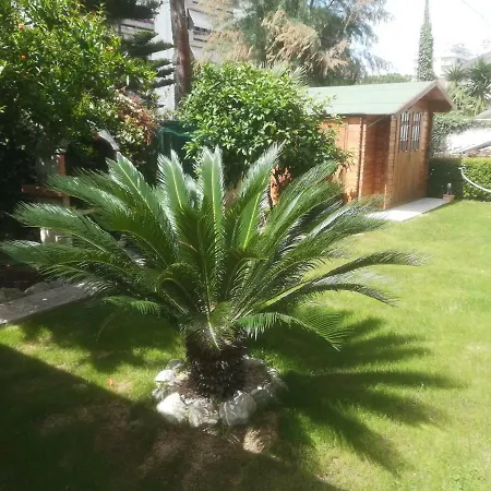 Il Cavalluccio Marino Отель типа 